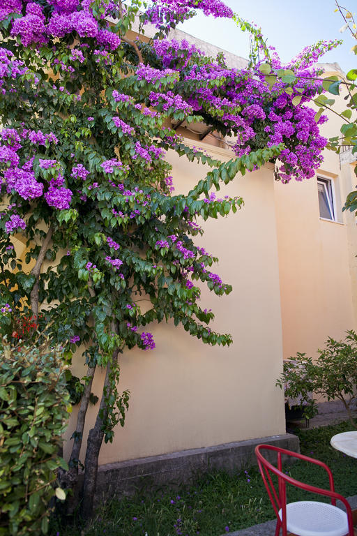Apartments Angela Budva Kültér fotó
