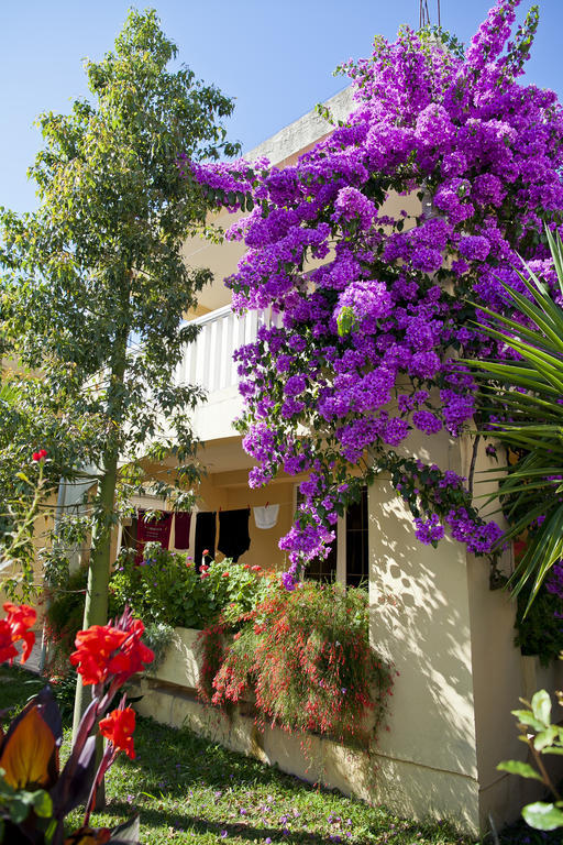 Apartments Angela Budva Kültér fotó